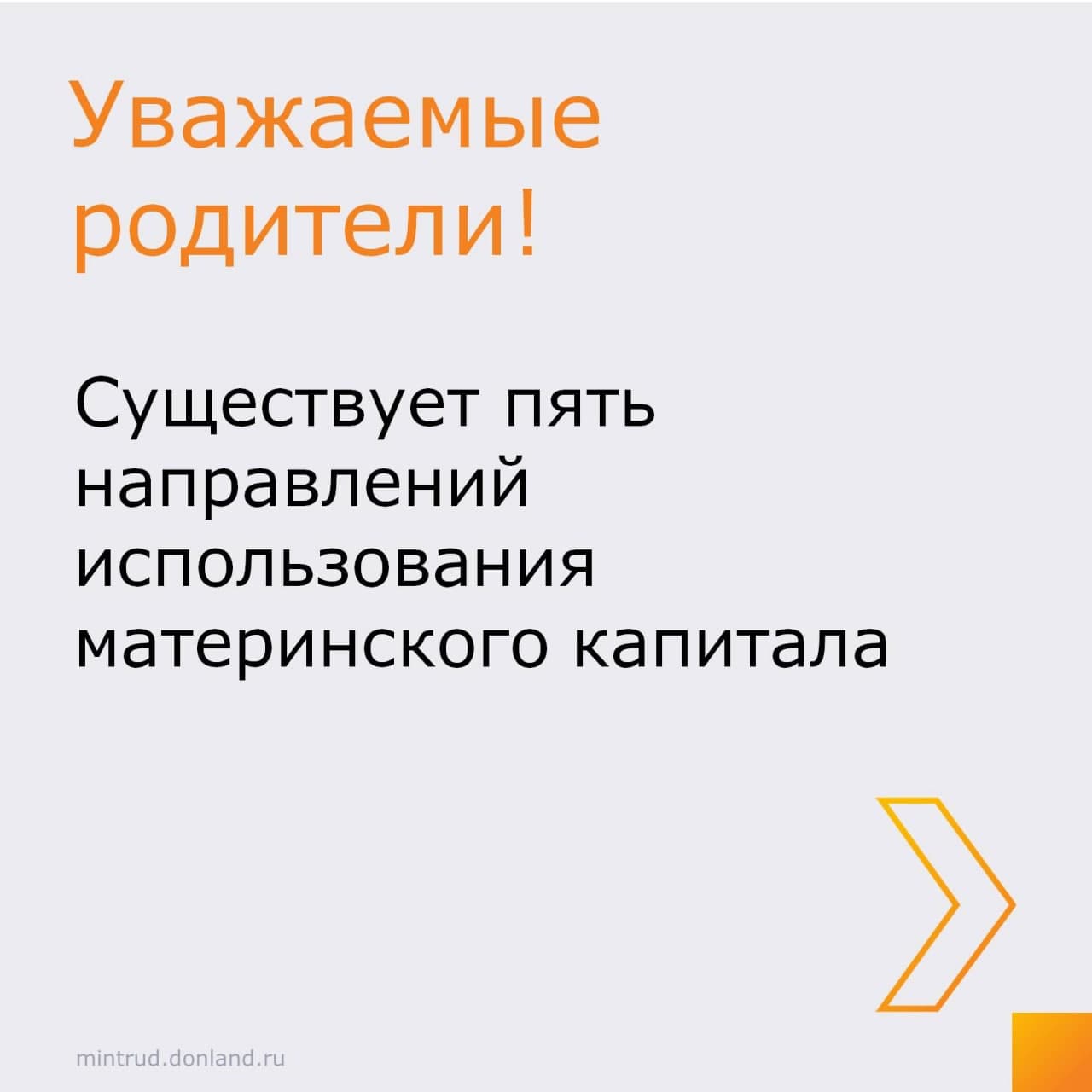 25094881
